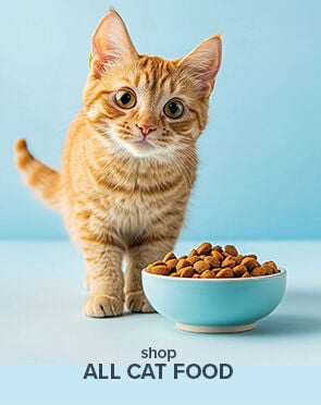 All Cat Food